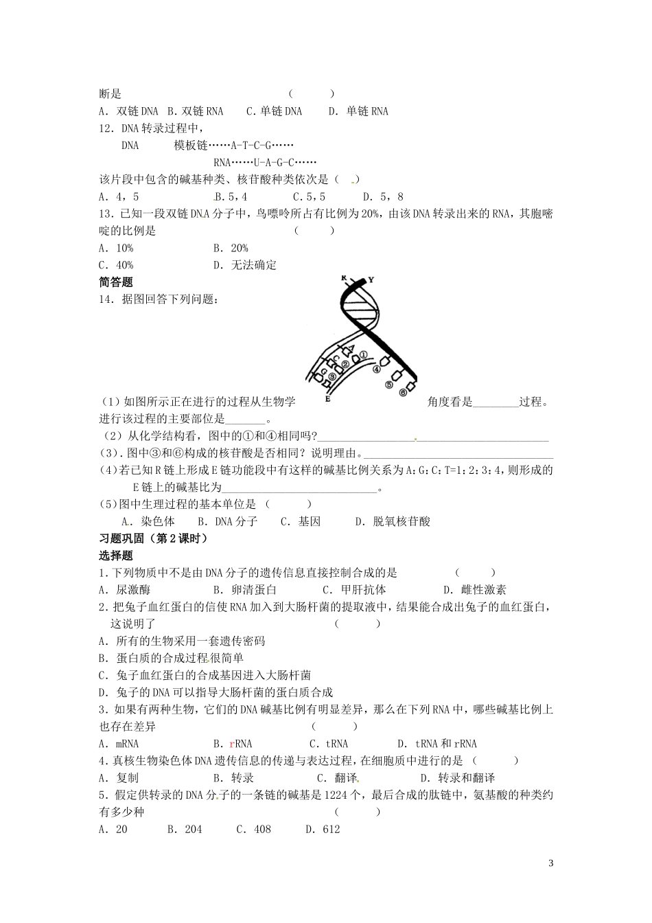 黑龙江省鹤北林业局高级中学2014年高中生物 4.1 基因指导蛋白质的合成学案 新人教版必修2_第3页