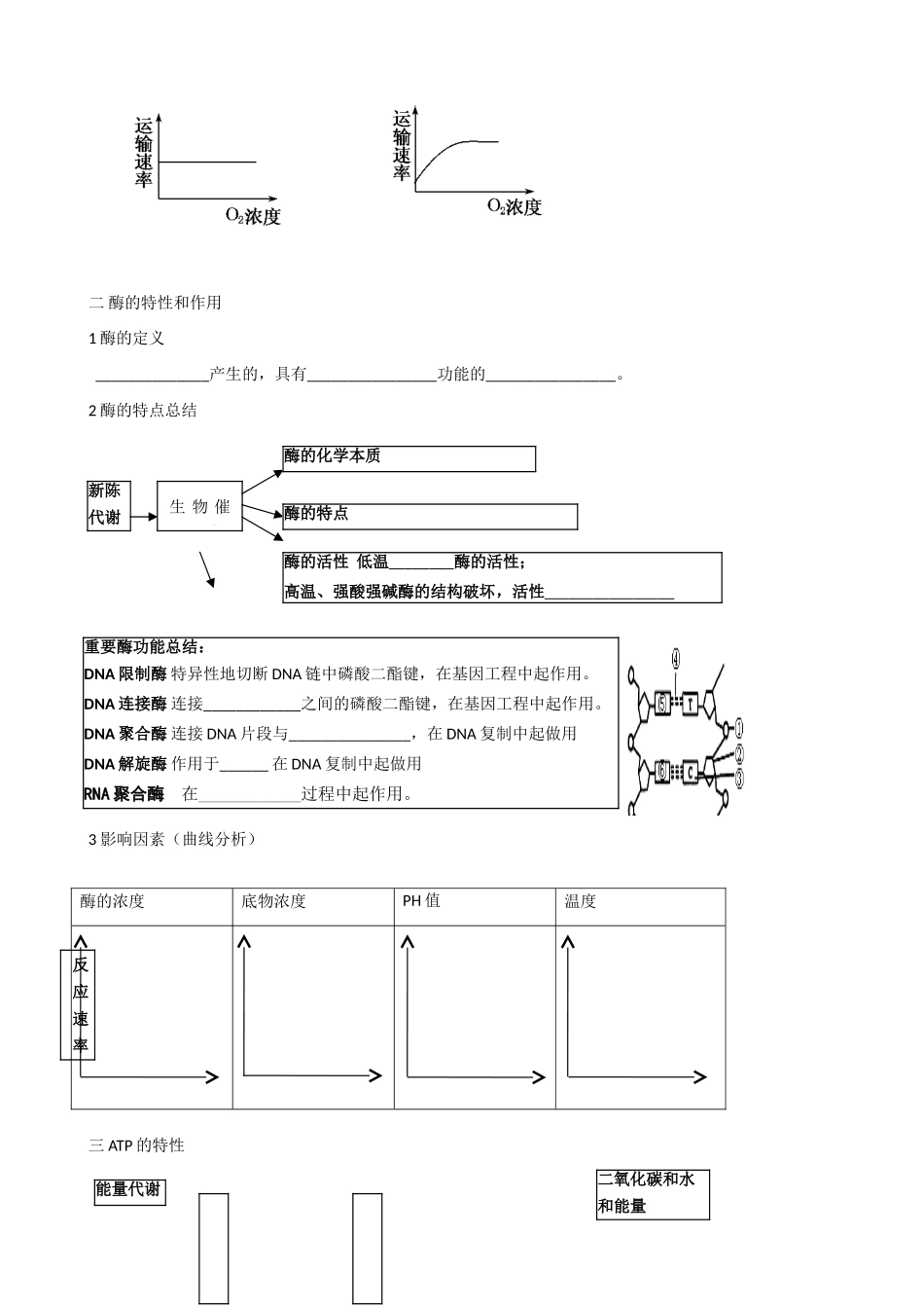 北京市延庆县第三中学2013届高三生物二轮复习 专题五 细胞的代谢教案 浙教版_第2页