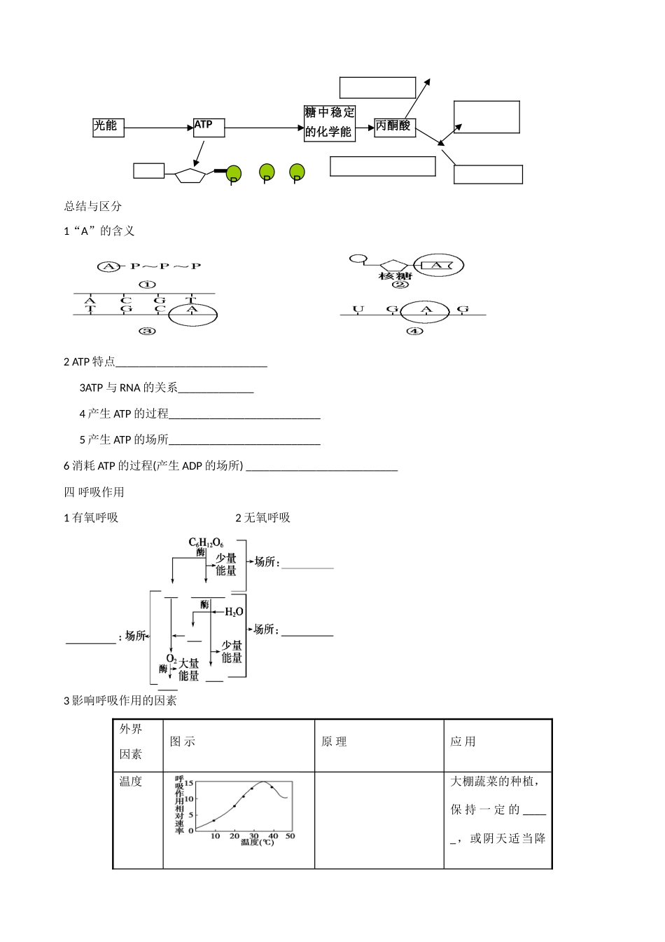 北京市延庆县第三中学2013届高三生物二轮复习 专题五 细胞的代谢教案 浙教版_第3页