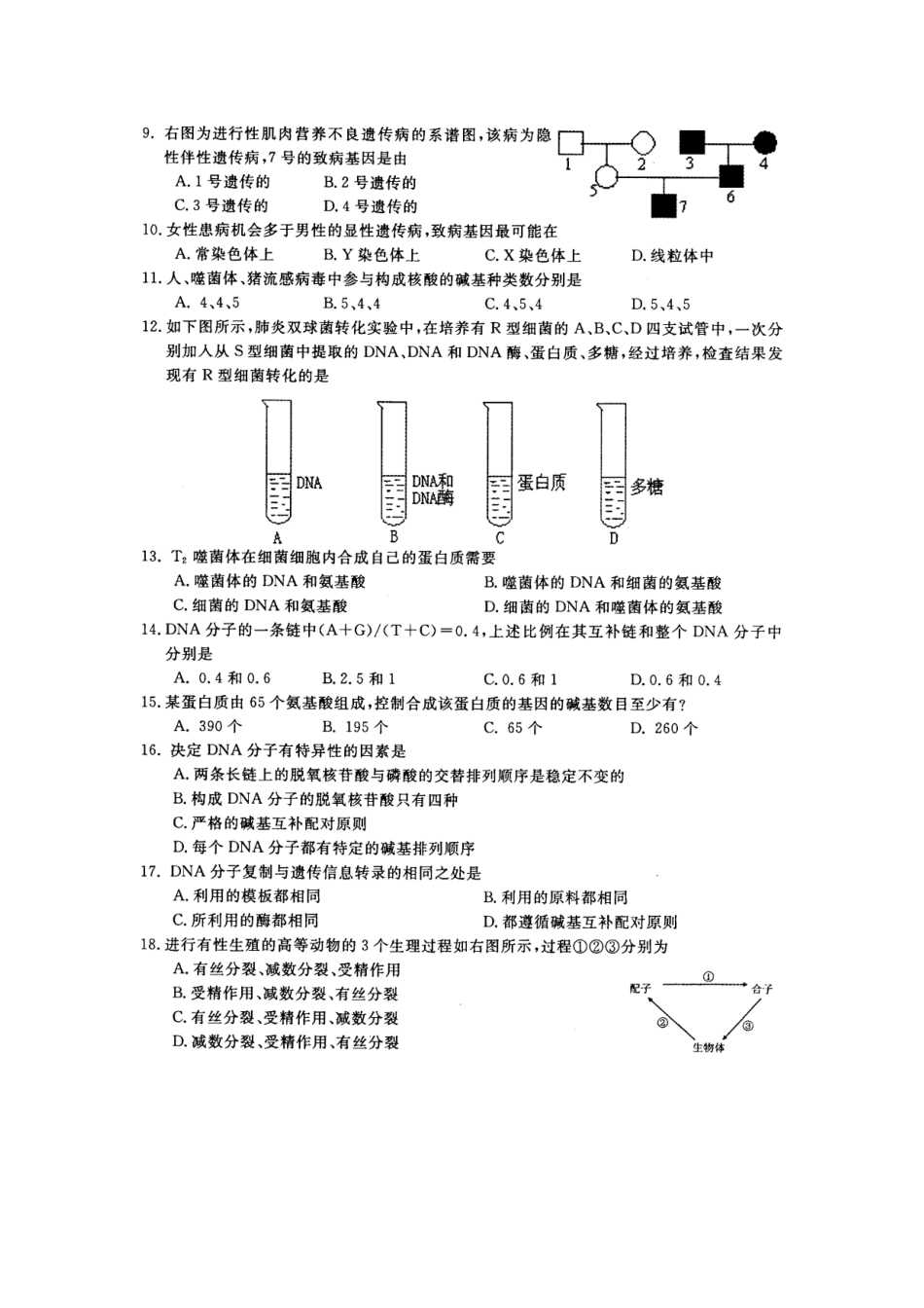 安徽省庐江县2008～2009学年度第二学期期末考试高一生物试卷(图片版)人教版必修2_第2页