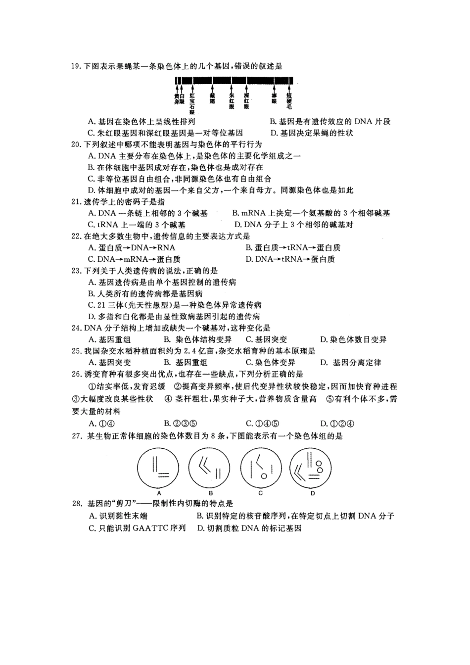 安徽省庐江县2008～2009学年度第二学期期末考试高一生物试卷(图片版)人教版必修2_第3页