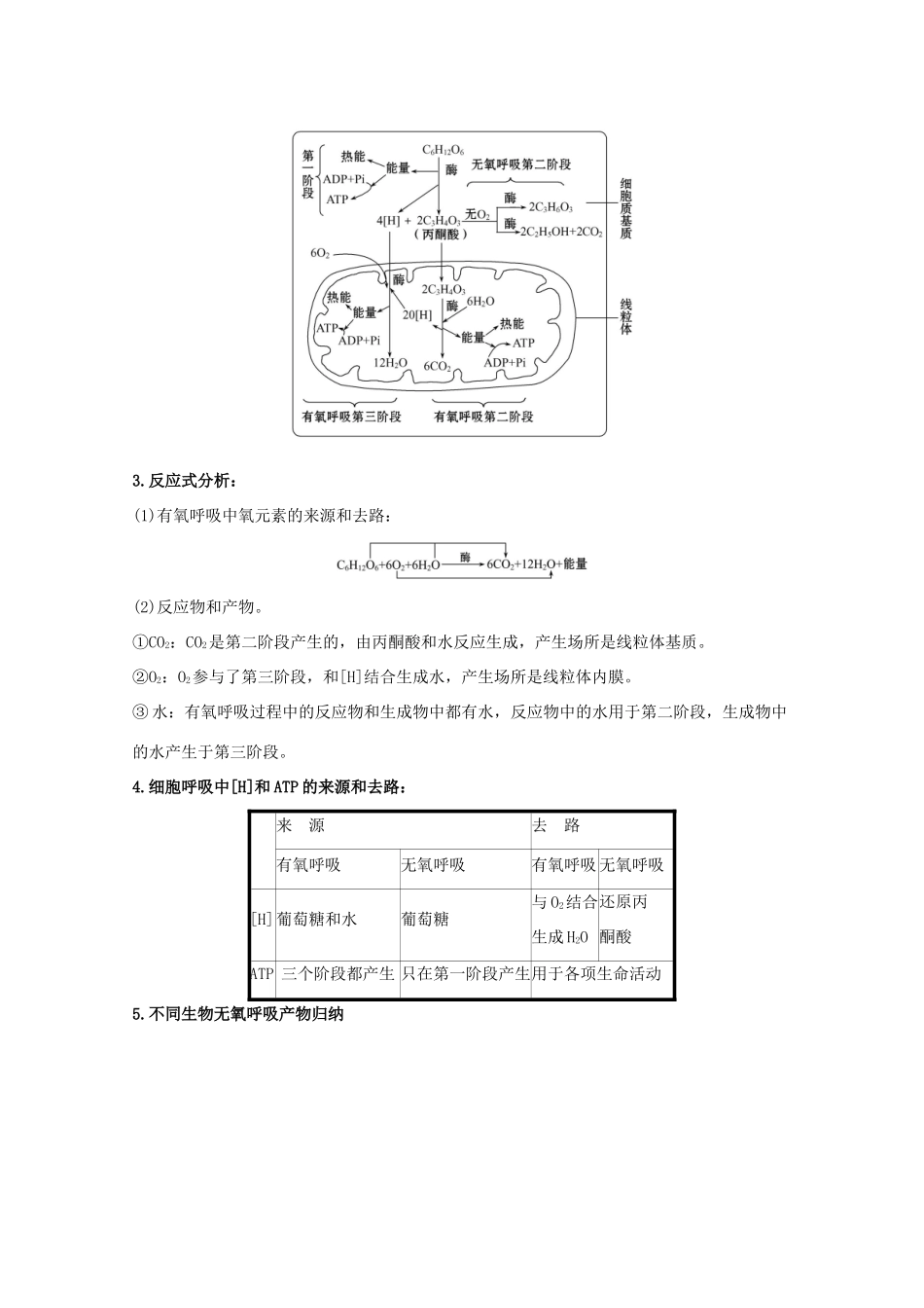 版高考生物一轮复习 第5章 细胞的能量供应和利用 3 ATP的主要来源——细胞呼吸教案 新人教版必修1-新人教版高三必修1生物教案_第2页