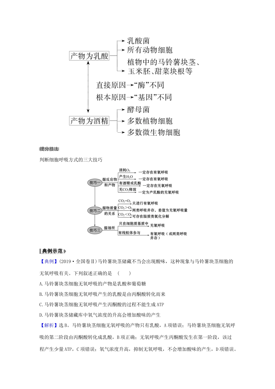 版高考生物一轮复习 第5章 细胞的能量供应和利用 3 ATP的主要来源——细胞呼吸教案 新人教版必修1-新人教版高三必修1生物教案_第3页