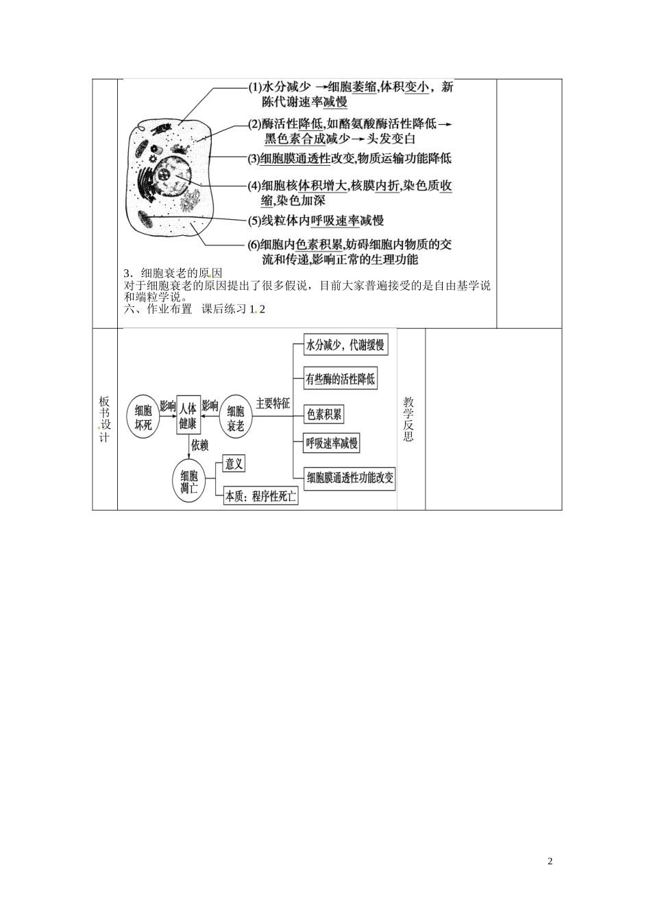 甘肃省庆阳市宁县第五中学高中生物 第6章 第3节 细胞的衰老和凋亡1导学案 新人教版必修1_第2页