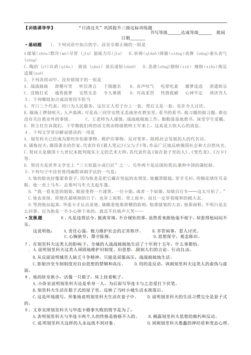 安徽省铜陵市铜都双语学校高三语文 装在套子里的人学道复习学案1_第3页