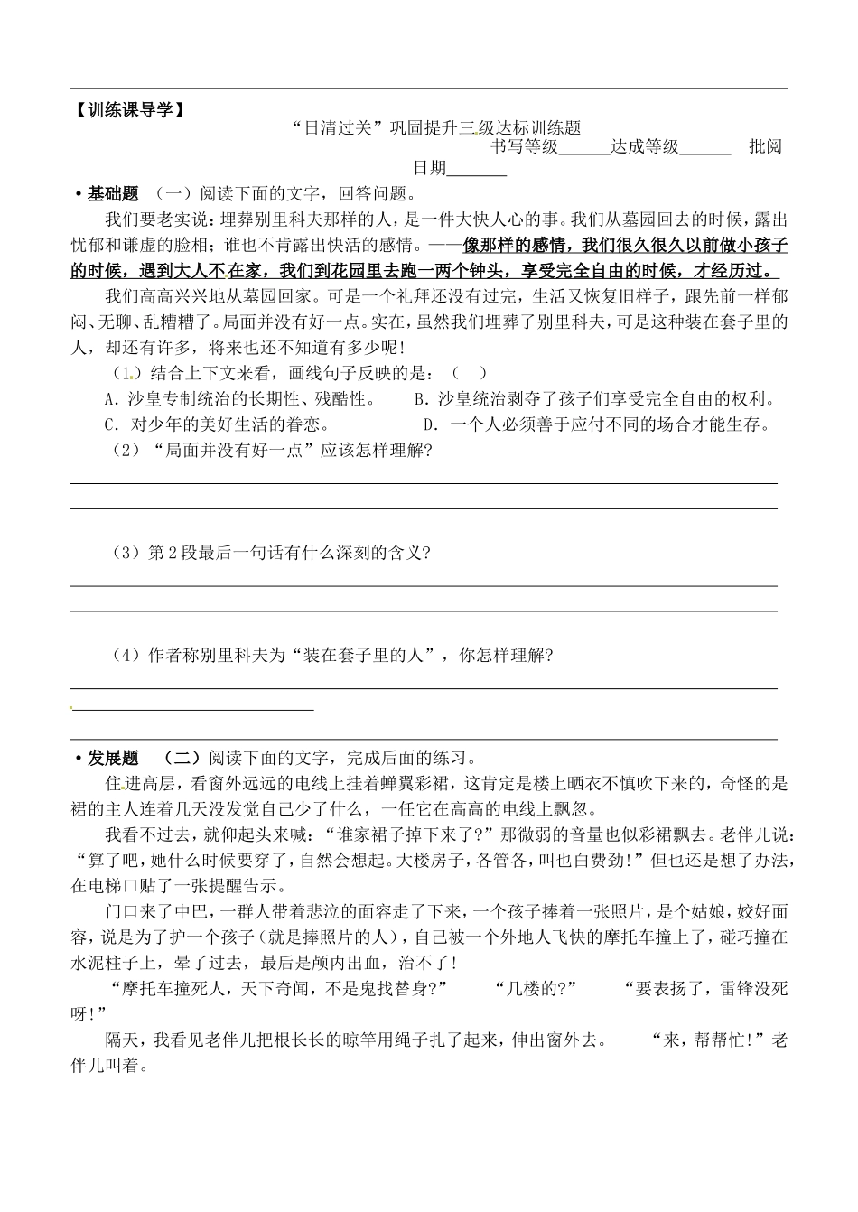 安徽省铜陵市铜都双语学校高三语文 装在套子里的人学道复习学案2_第3页