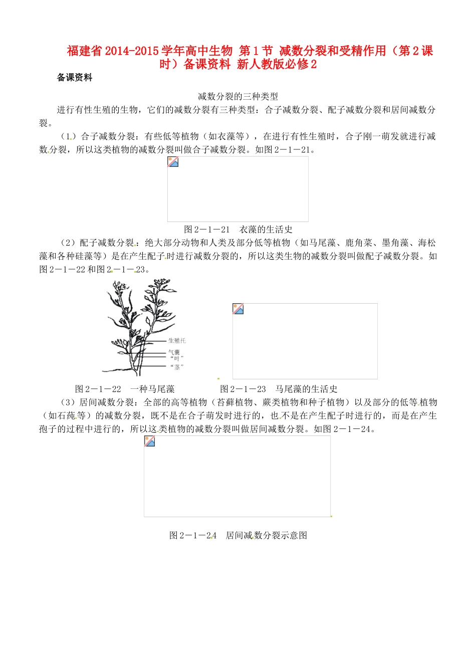 福建省2014-2015学年高中生物 第1节 减数分裂和受精作用（第2课时）备课资料 新人教版必修2_第1页