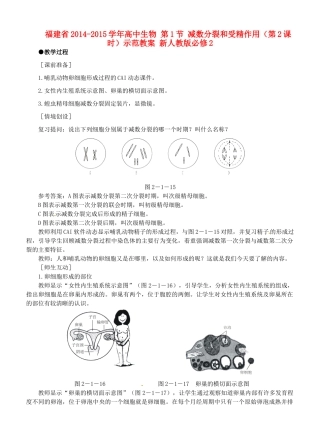 福建省2014-2015学年高中生物 第1节 减数分裂和受精作用（第2课时）示范教案 新人教版必修2