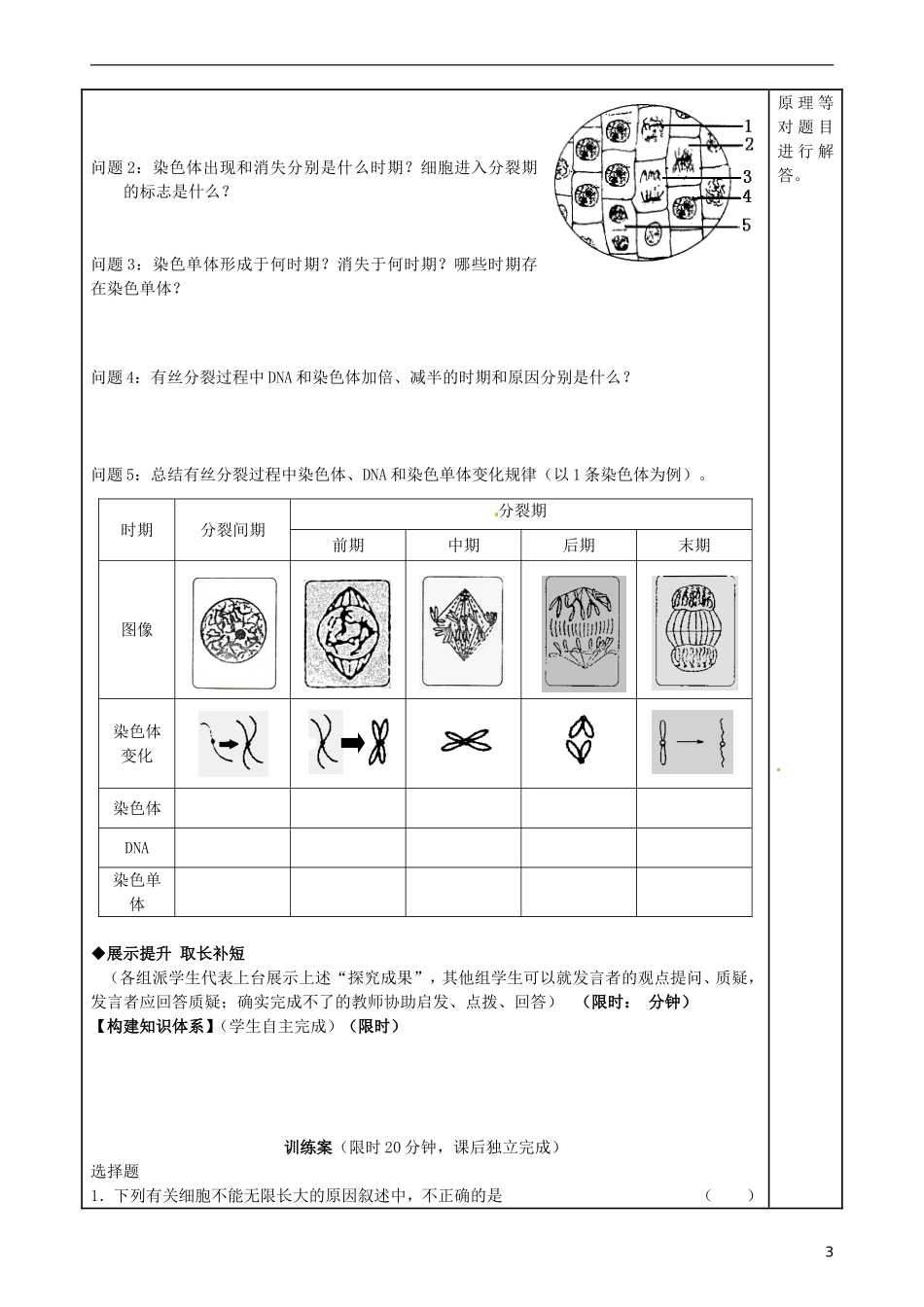 福建省泉州市第十五中学高中生物《第6章 第1节 细胞的增殖》导学案 新人教版必修1_第3页
