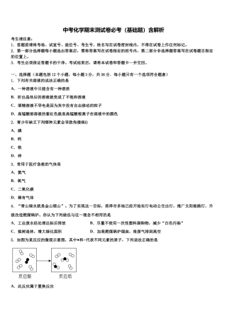北京市顺义区达标名校中考化学最后冲刺模拟试卷含解析