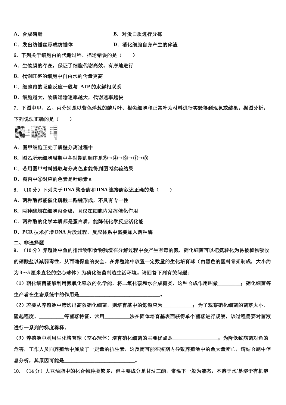 北京西城区北京市第八中学高三第一次模拟考试生物试卷含解析_第2页