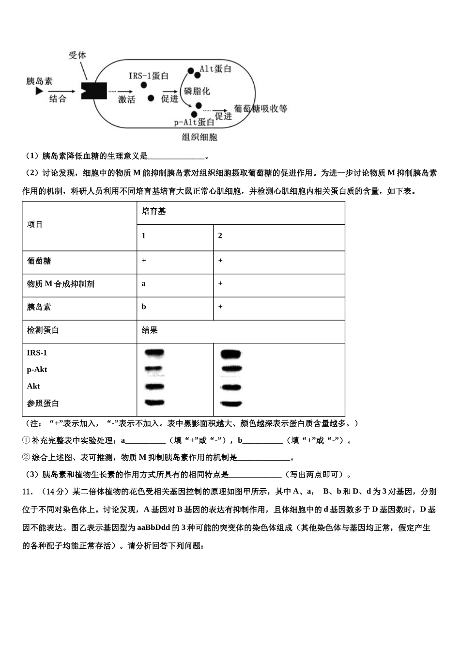 北师大泉州附中高考生物全真模拟密押卷含解析_第3页
