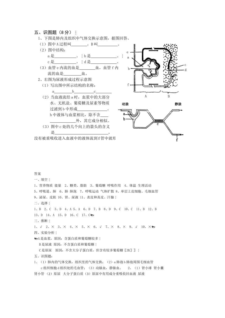 北师大版七下生物第1011章同步测试及答案_第3页