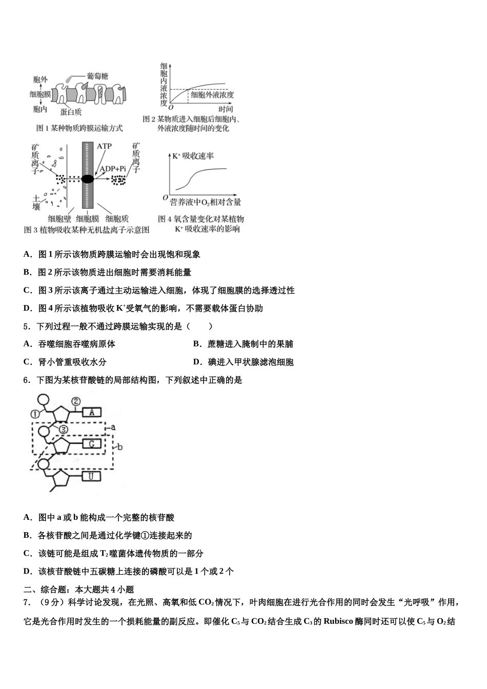 北师大附属实验中学高考生物三模试卷含解析_第2页
