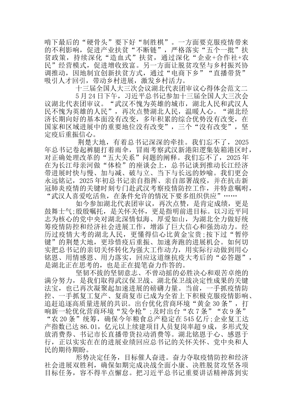 十三届全国人大三次会议湖北代表团审议心得体会3篇_第2页
