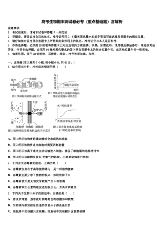 南京市钟英中学高三第二次联考生物试卷含解析