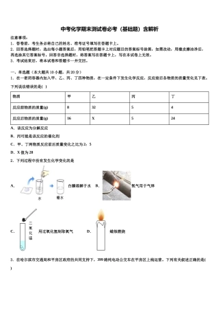 南昌市南大附中中考化学押题卷含解析