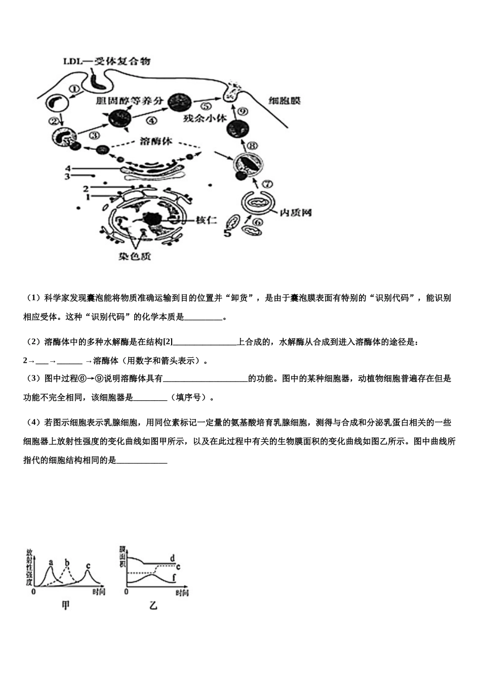 南昌市第二中学高三生物试卷含解析_第3页