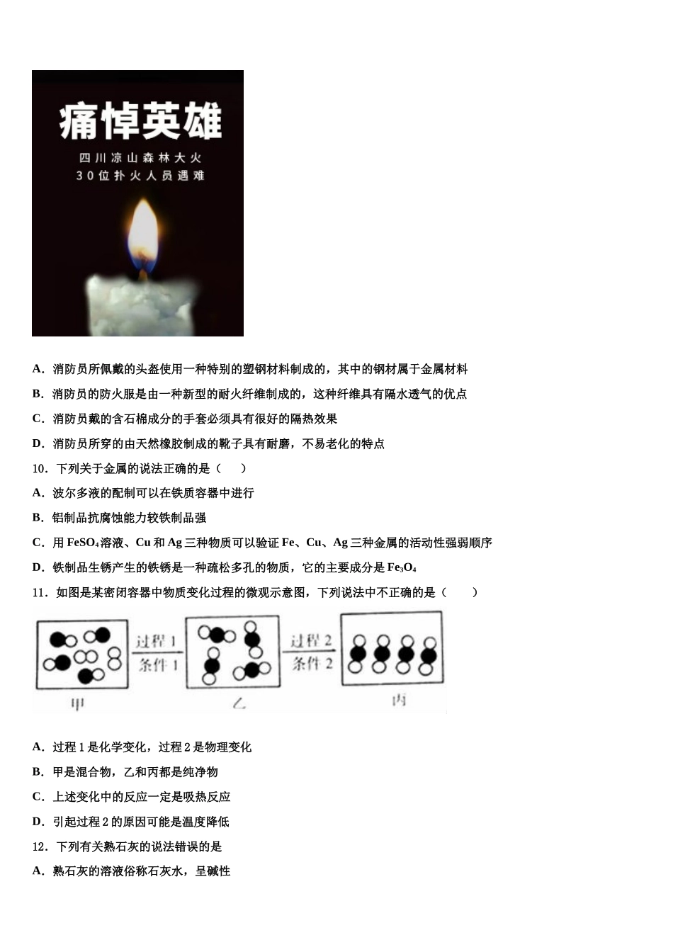 南省洛阳市偃师县中考考前最后一卷化学试卷含解析_第3页