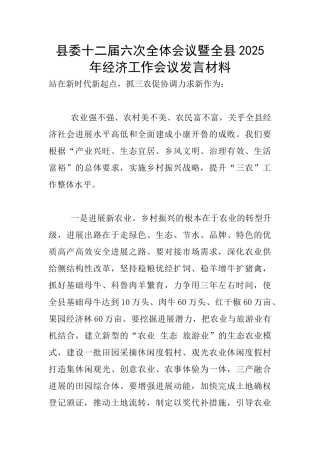 县委十二届六次全体会议暨全县2025年经济工作会议发言材料