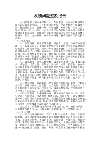 反馈问题整改报告