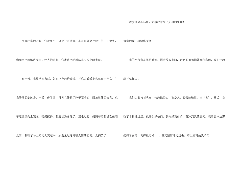 可爱的我三年级_第2页