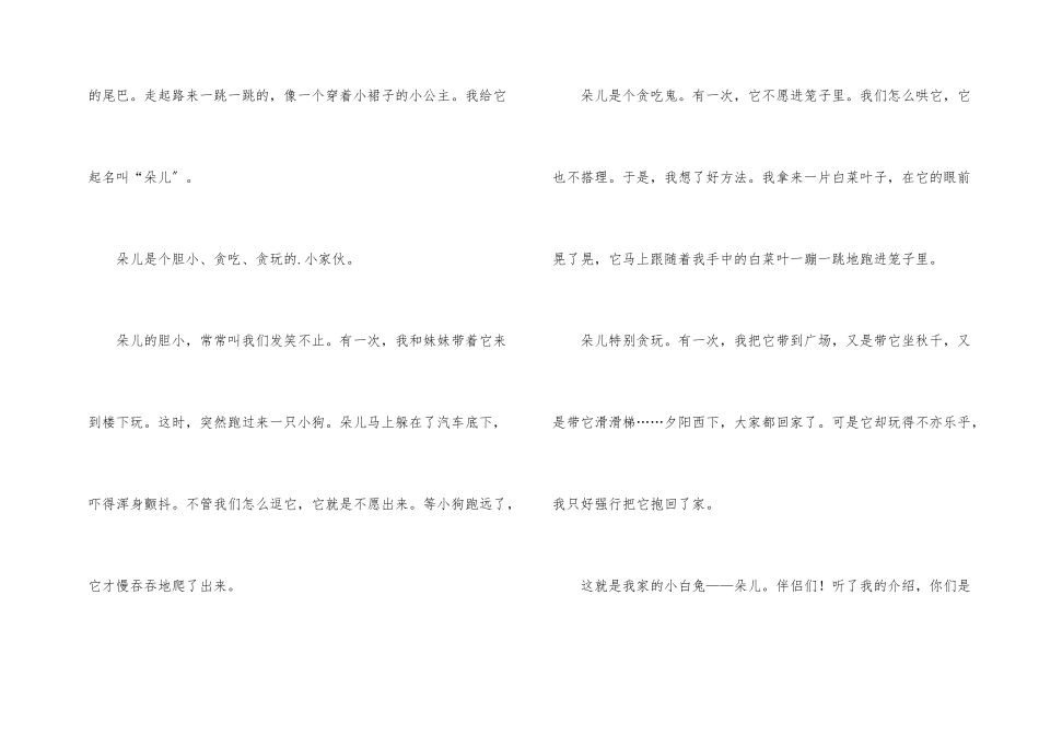 可爱的小白兔初中_第2页