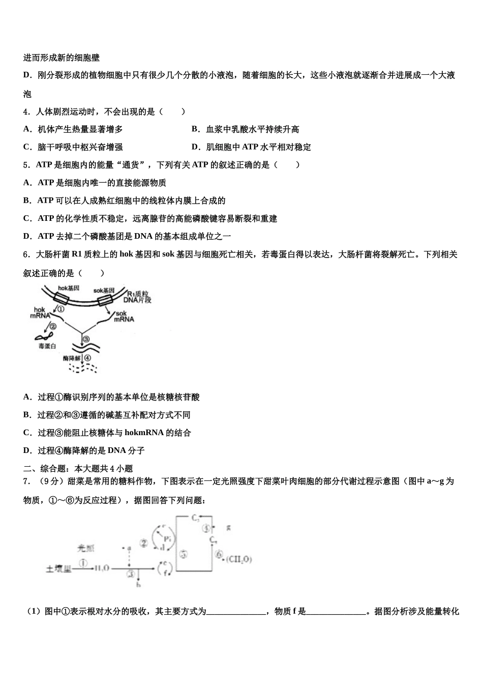 合肥市第六中学高三第四次模拟考试生物试卷含解析_第2页