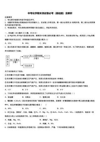 吉林大附中力旺实验中学中考化学最后冲刺模拟试卷含解析