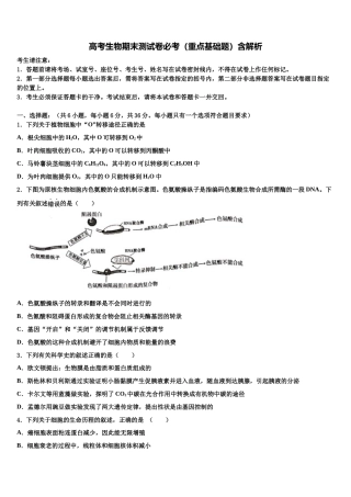 吉林省东北师范大学附属中学高考仿真卷生物试卷含解析