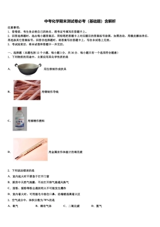 吉林省前郭县联考中考化学模拟试题含解析