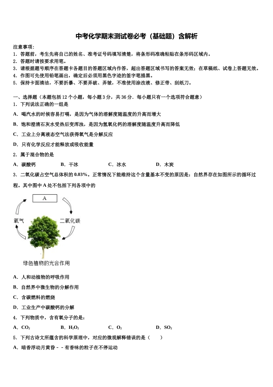 吉林省大安县联考中考一模化学试题含解析_第1页