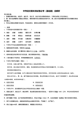 吉林省延边州安图县中考语文对点突破模拟试卷含解析