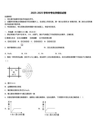 吉林省延边州安图县重点达标名校中考化学仿真试卷含解析