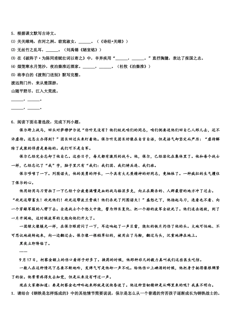 吉林省松原市宁江四中学中考语文四模试卷含解析_第2页