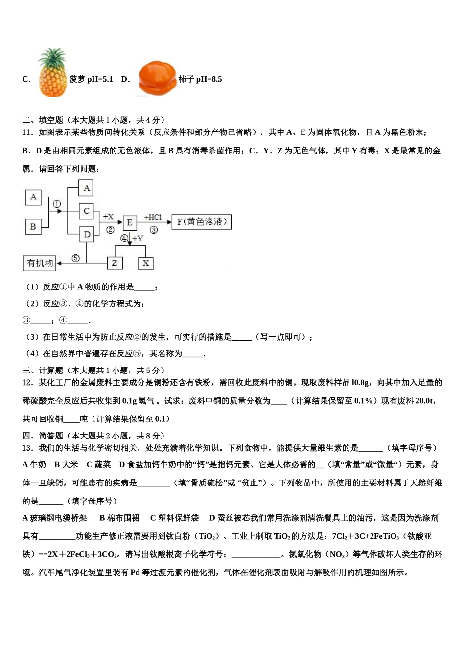 吉林省松原第五中学中考化学模拟精编试卷含解析_第3页