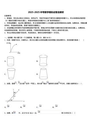 吉林省白城地区大安县中考数学对点突破模拟试卷含解析