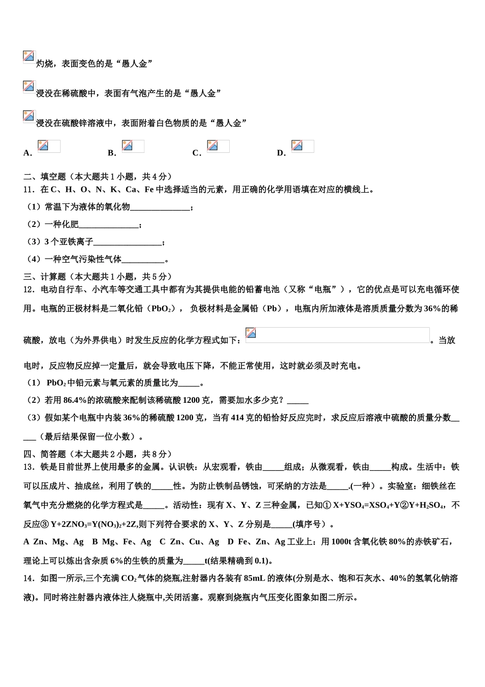 吉林省白城市大安市达标名校中考化学考试模拟冲刺卷含解析_第3页