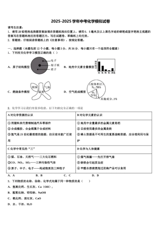 吉林省白城市大安市达标名校中考猜题化学试卷含解析