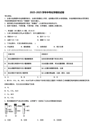 吉林省白城市通榆县重点名校中考化学最后冲刺模拟试卷含解析