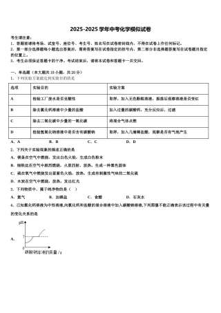 吉林省白山市长白县中考化学最后冲刺浓缩精华卷含解析