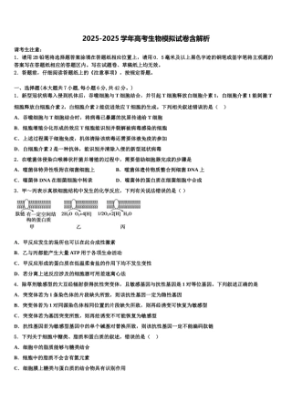 吉林省白山市第七中学高考仿真模拟生物试卷含解析