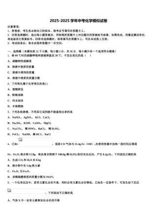 吉林省第二实验校初中化学毕业考试模拟冲刺卷含解析