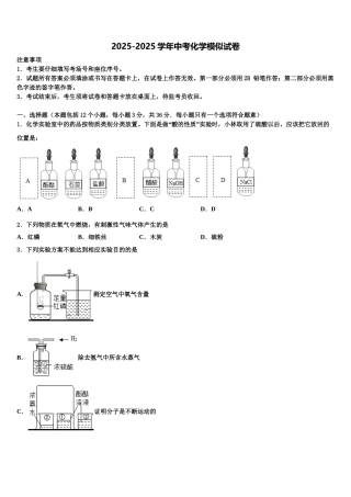 吉林省长春吉大附中力旺实验中学中考猜题化学试卷含解析