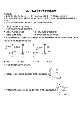 吉林省长春市南关区东北师大附中中考化学最后一模试卷含解析