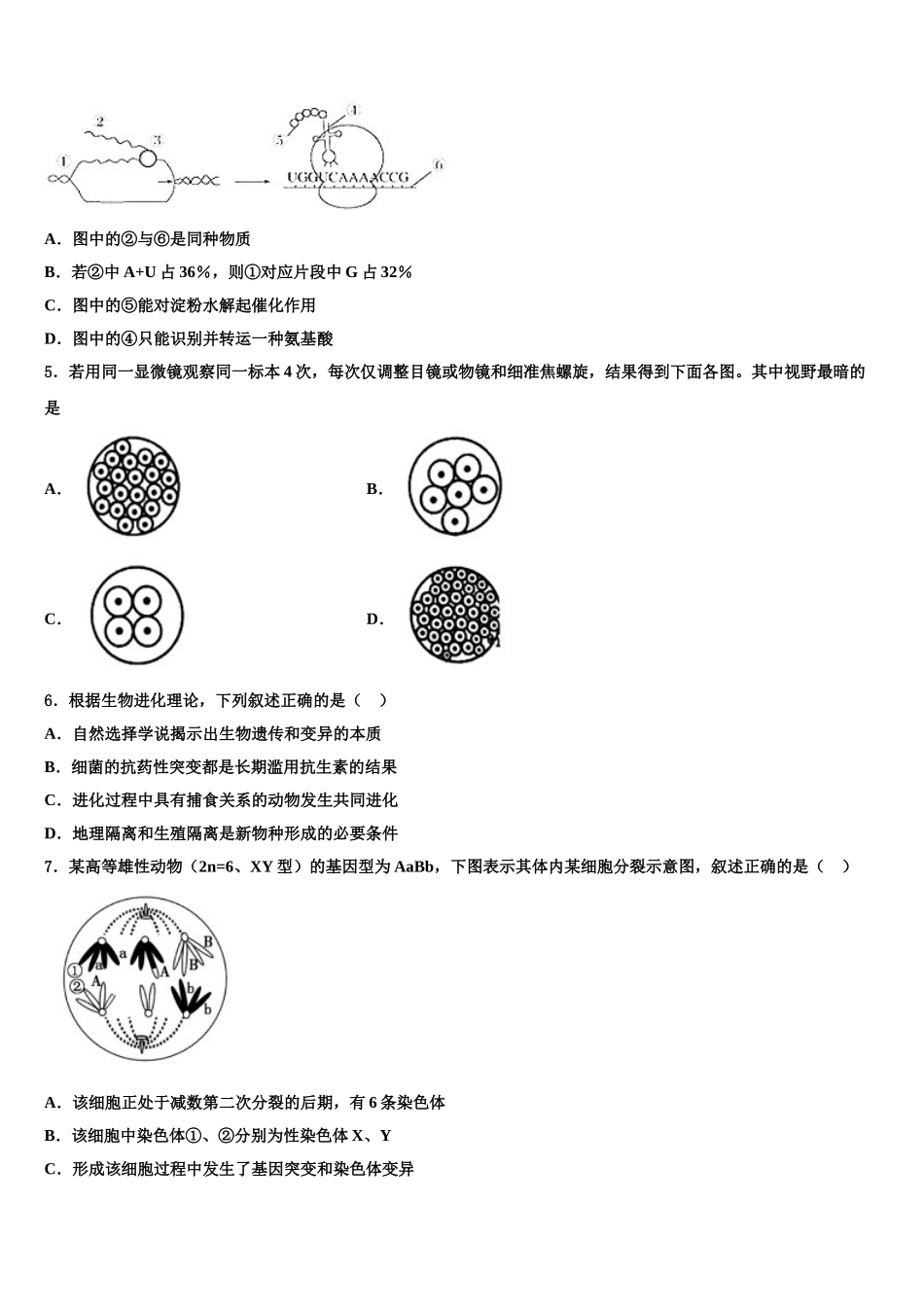 唐徕回民中学高三压轴卷生物试卷含解析_第2页