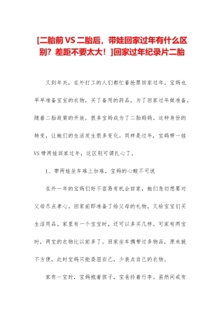回家过年纪录片二胎