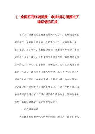 团委班子建设情况汇报