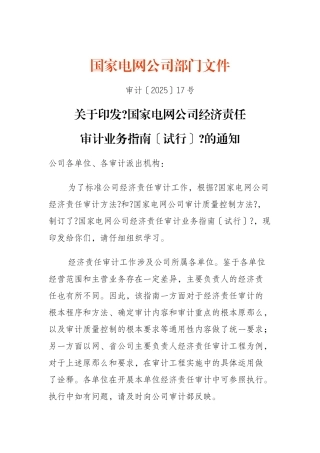 国家电网公司经济责任审计业务指南