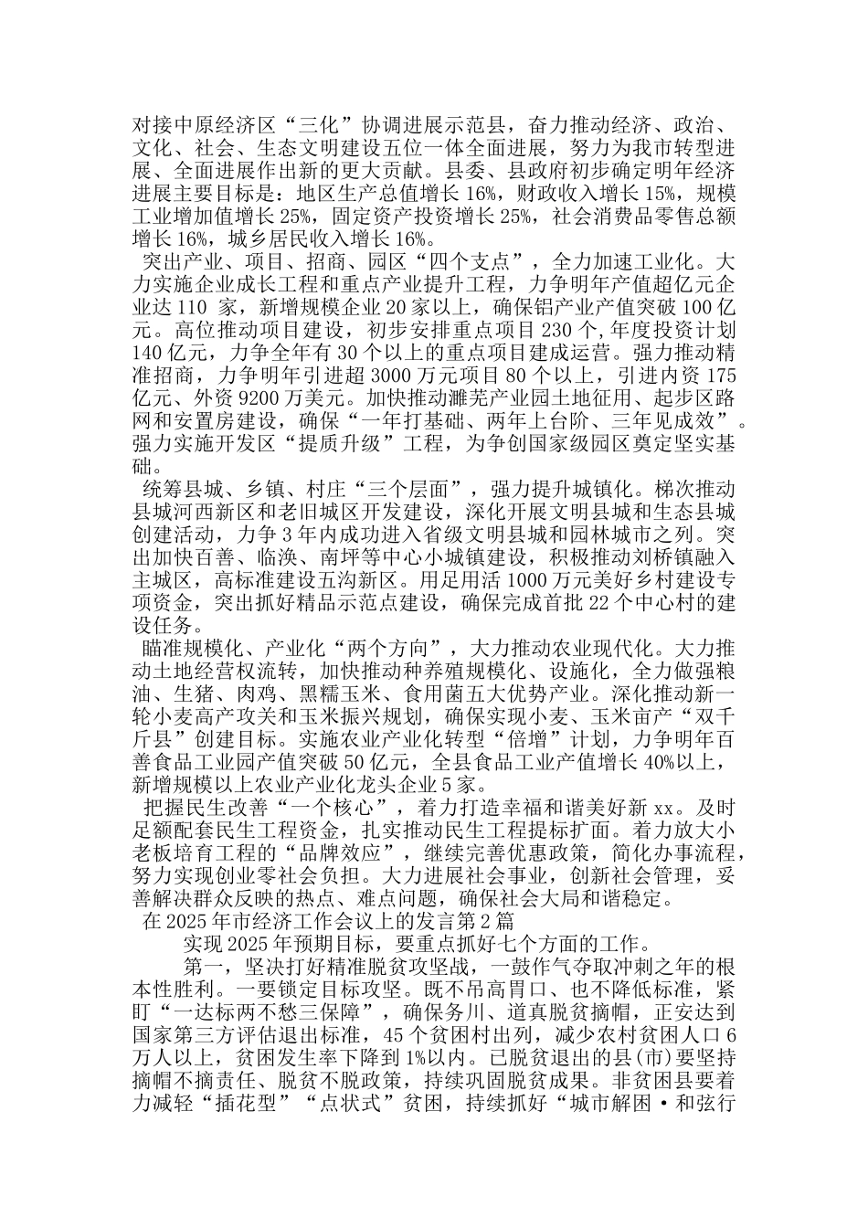在2025年市经济工作会议上的发言_第2页